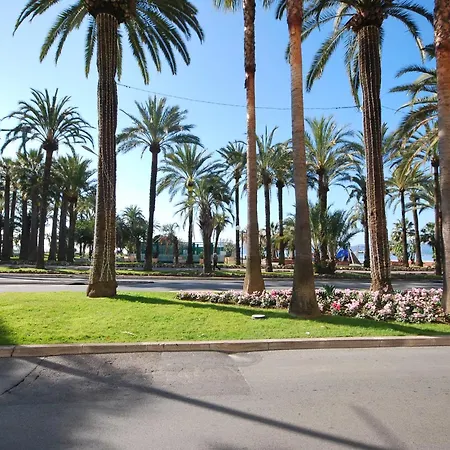 One Bedroom Palm Apartment